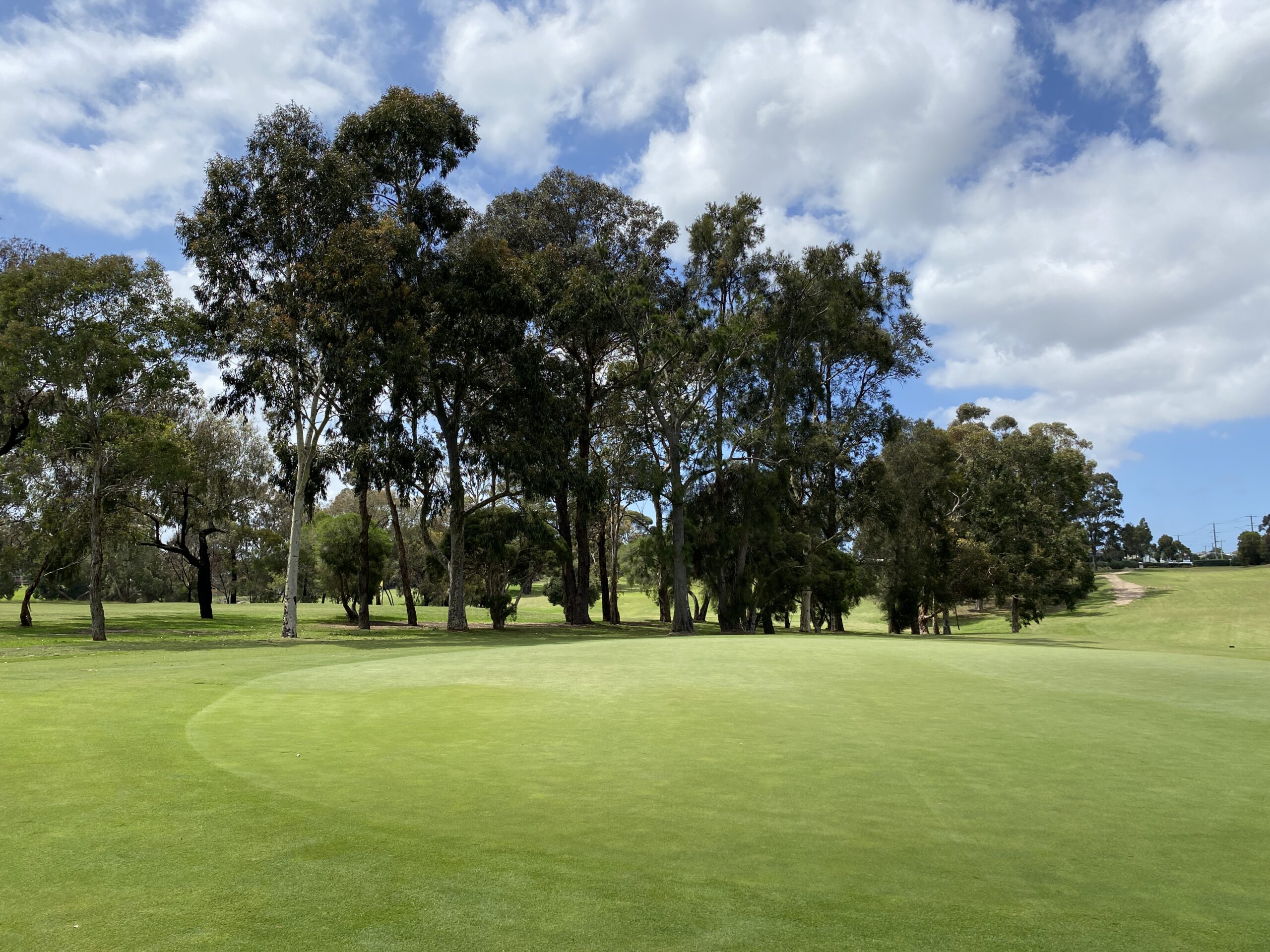 Featured is the Geelong Golf Club grass. Trees are in the background and it is a cloudy blue sky day. The golf course appears empty.